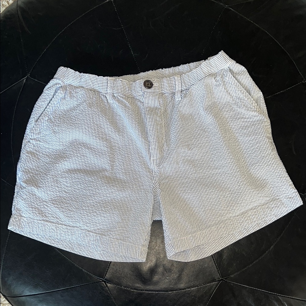 Chubbies Men's Striped Shorts - Blue and White Seersucker-L